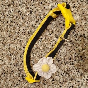 Martha Stewart large adorable dog collar 🌻